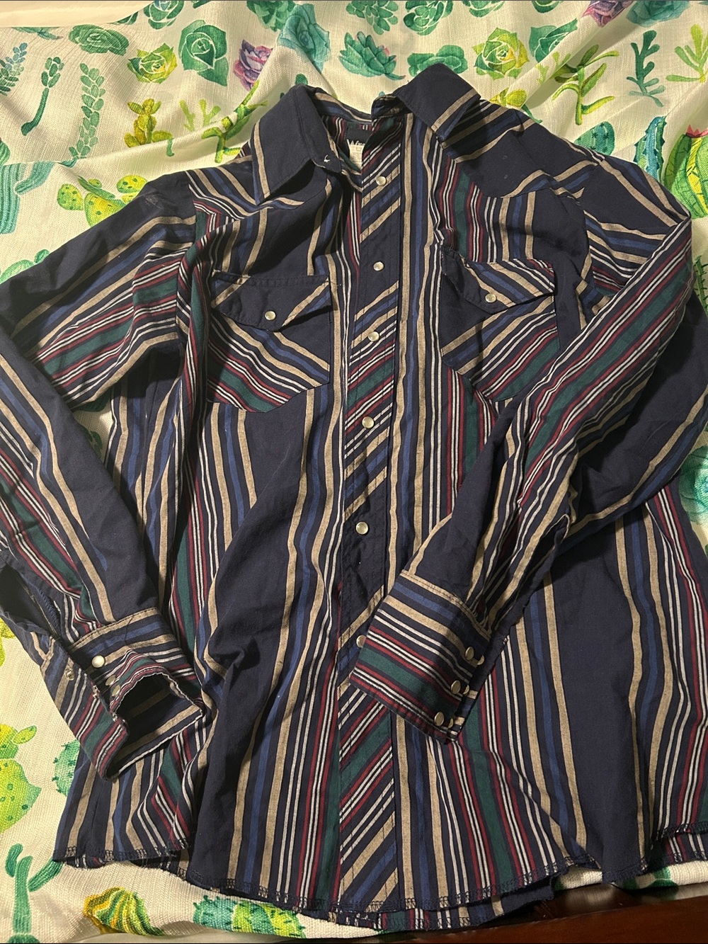 Striped Button-Up Western Shirt in Navy with Multicolor Stripes